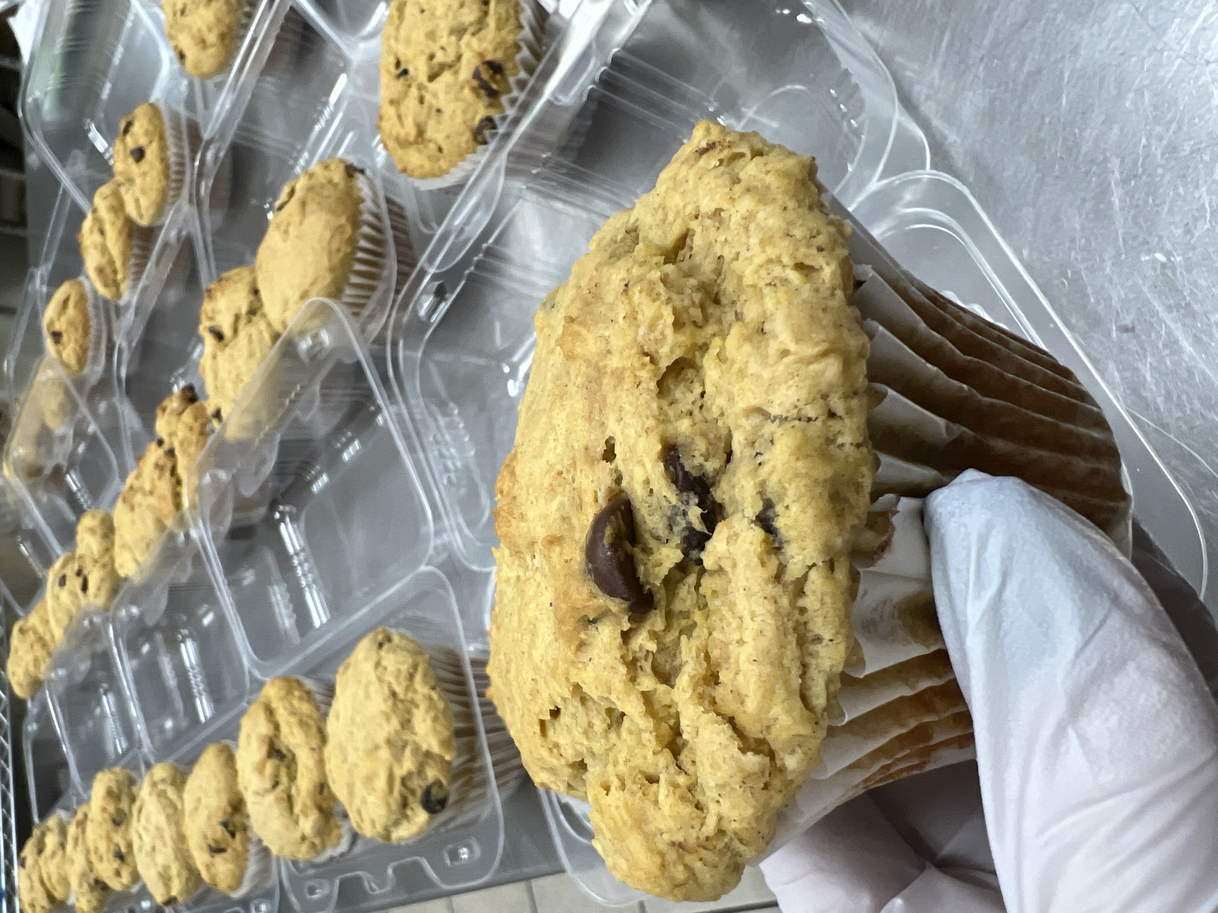 *Pumpkin Chocolate Chip Muffins